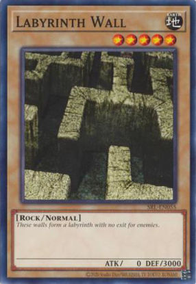 Labyrinth Wall - SRL-EN055 - Common Unlimited