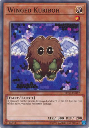 Winged Kuriboh - LED6-EN017 - Common Unlimited