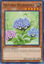 Naturia Hydrangea - HAC1-EN107 - Common 1st Edition