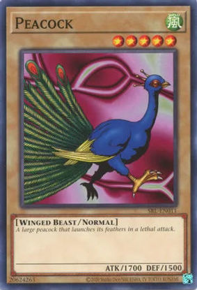 Peacock - SRL-EN011 - Common Unlimited