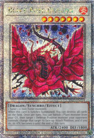 Black Rose Dragon - TN23-EN014 - Quarter Century Secret Rare 1st Edition